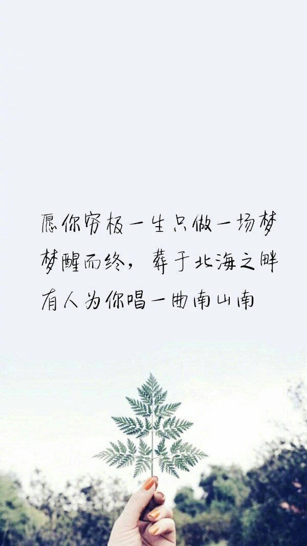 那个南墙我撞啦