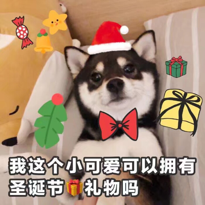 今日圣诞表情包圣诞快乐~ 侵权立删高糊表情包 喵咪 熊猫头 gif 金