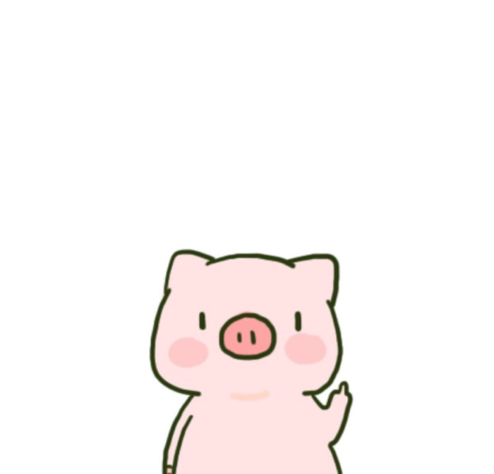可爱的猪猪