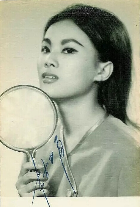 杜娟1942-1969年