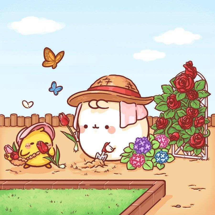 molang