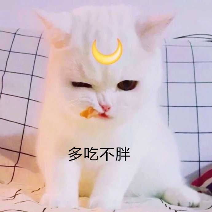 适合跨年发朋友圈的句子1,我跟2019打过招呼了,他会对你好的.