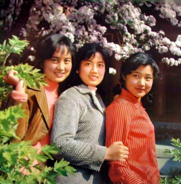 张金玲,李秀明,陈冲