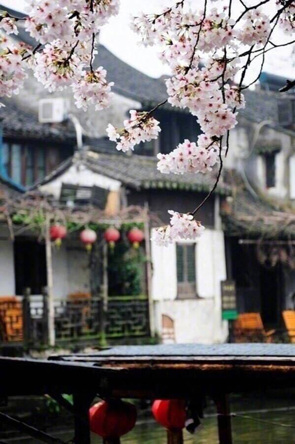 诗意江南有着黛瓦白墙,微风细雨.