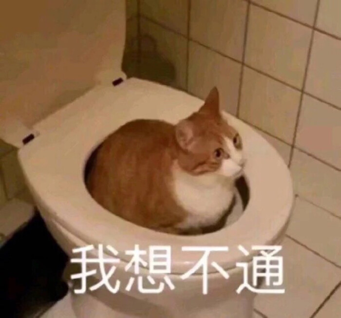 沙雕表情包