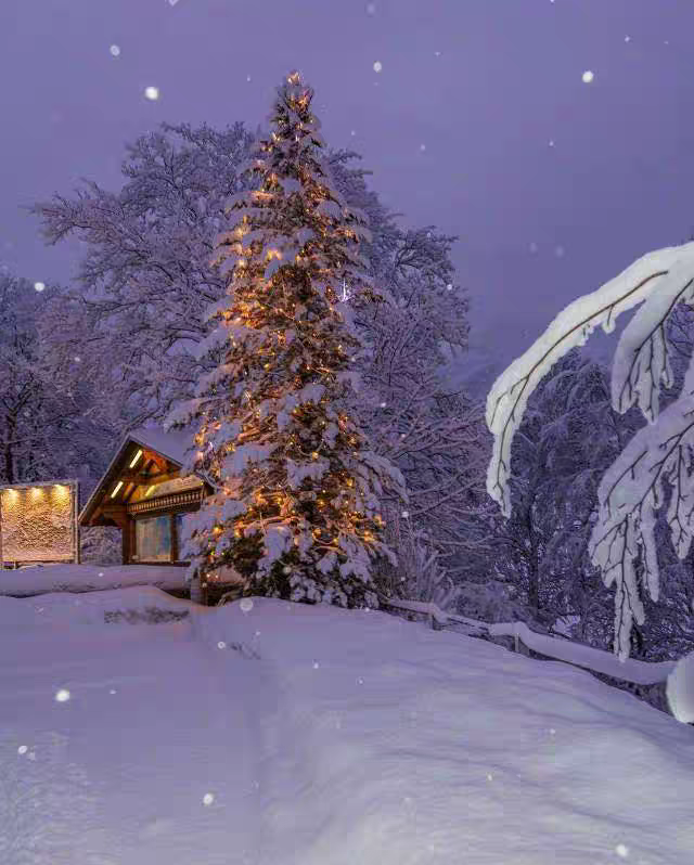 好看的雪景