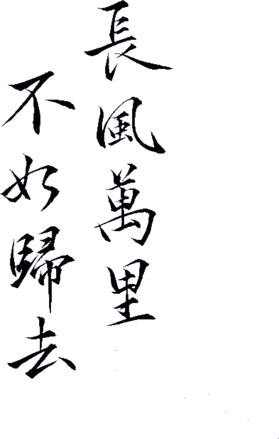 此风不可长 堆糖网