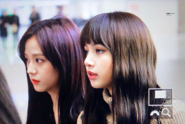 jisoo lisa