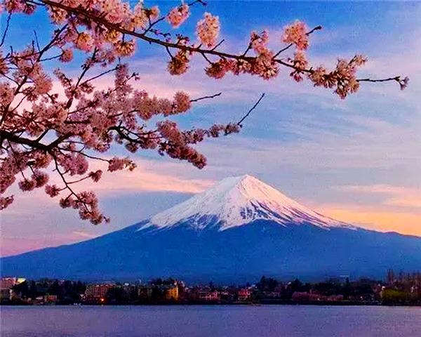 日本:富士山公园