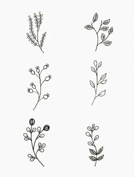 一组干净的叶子简笔画,快收藏吧 #巴士日记