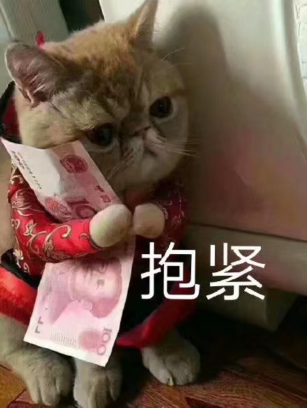 意境 美图 动物 大海 搞笑 gif 暴走漫画 文字控 斗图 表情包 金馆长