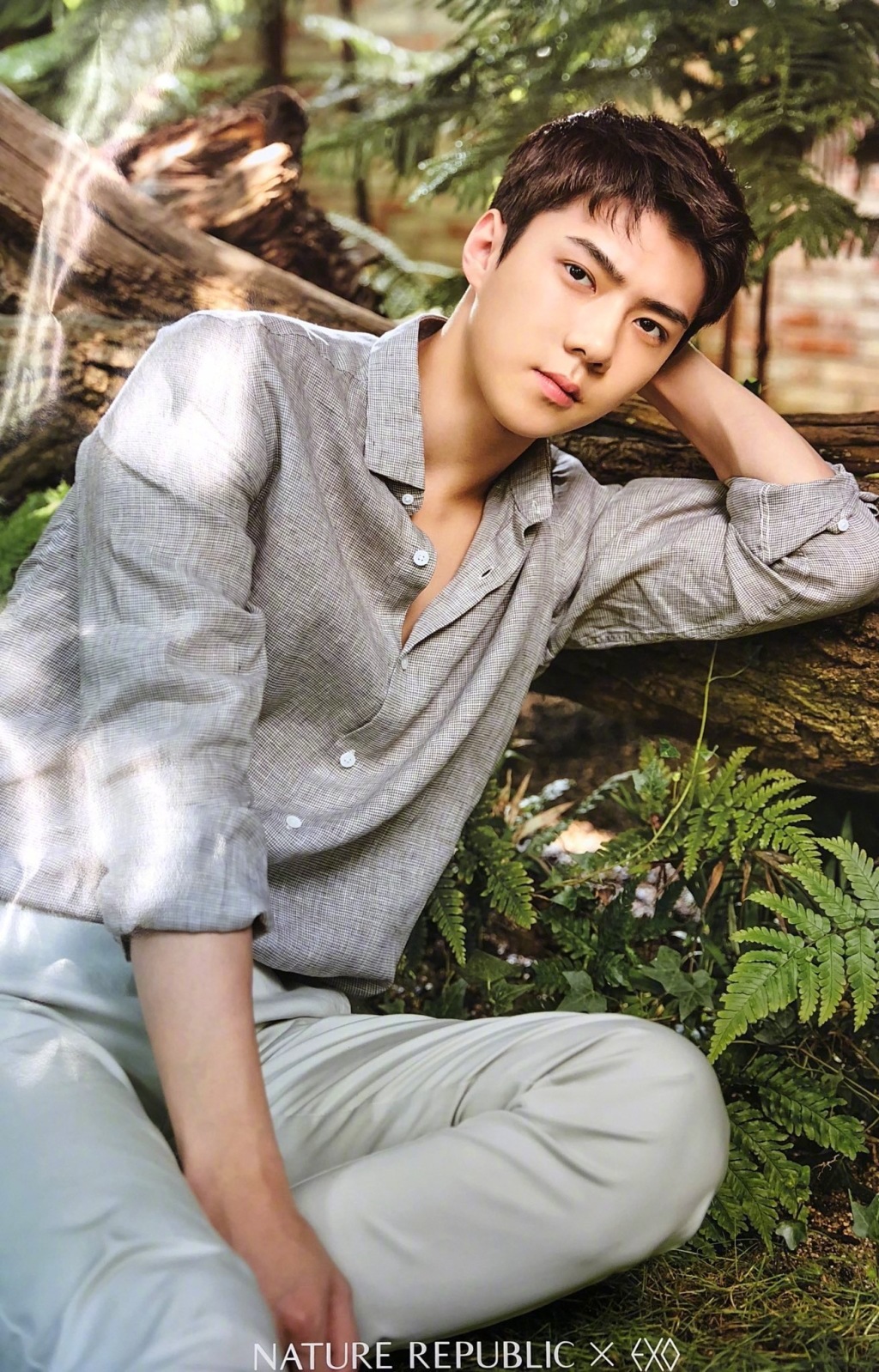 exo 奶包 sehun 吴世勋 #壁纸 #头像