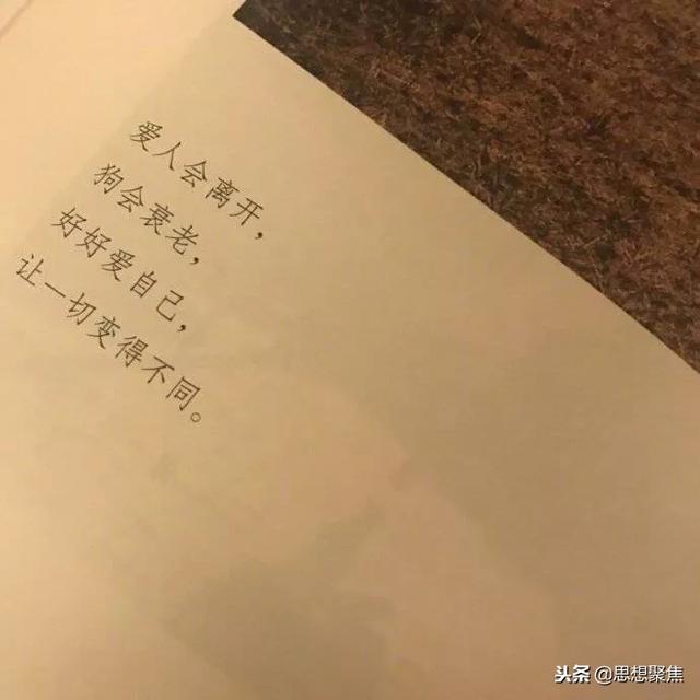 义无反顾撞过那么多南墙,皆是黄粱一梦的空欢喜一场,到头来却忘记自己