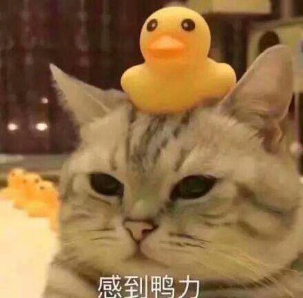 沙雕表情包.