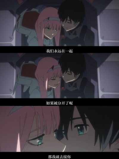 darling in the franx