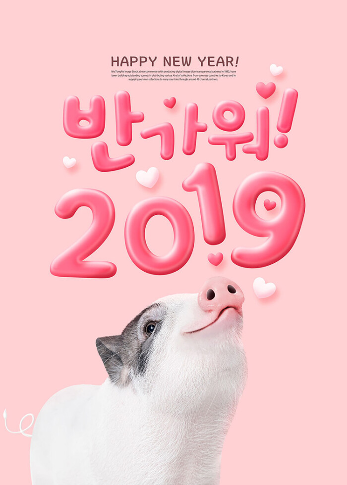 110#2019新年可爱小猪年海报素材 韩国风春…