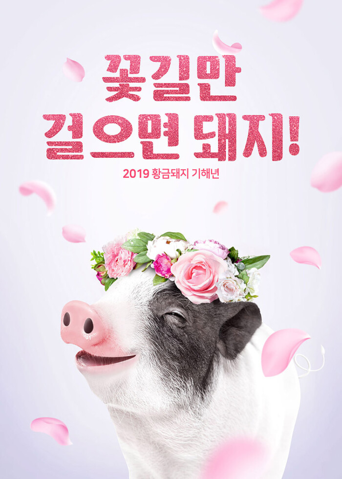 110#2019新年可爱小猪年海报素材 韩国风春…
