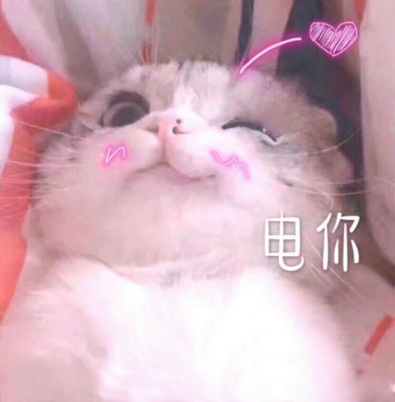 收到了一份表情包(˙)˙)
