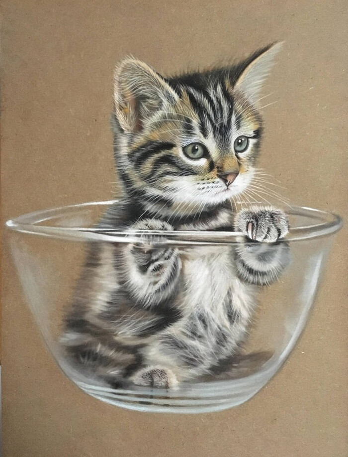 栩栩如生的猫咪绘画,逼真得令人赞叹…画师ivanhooart作品