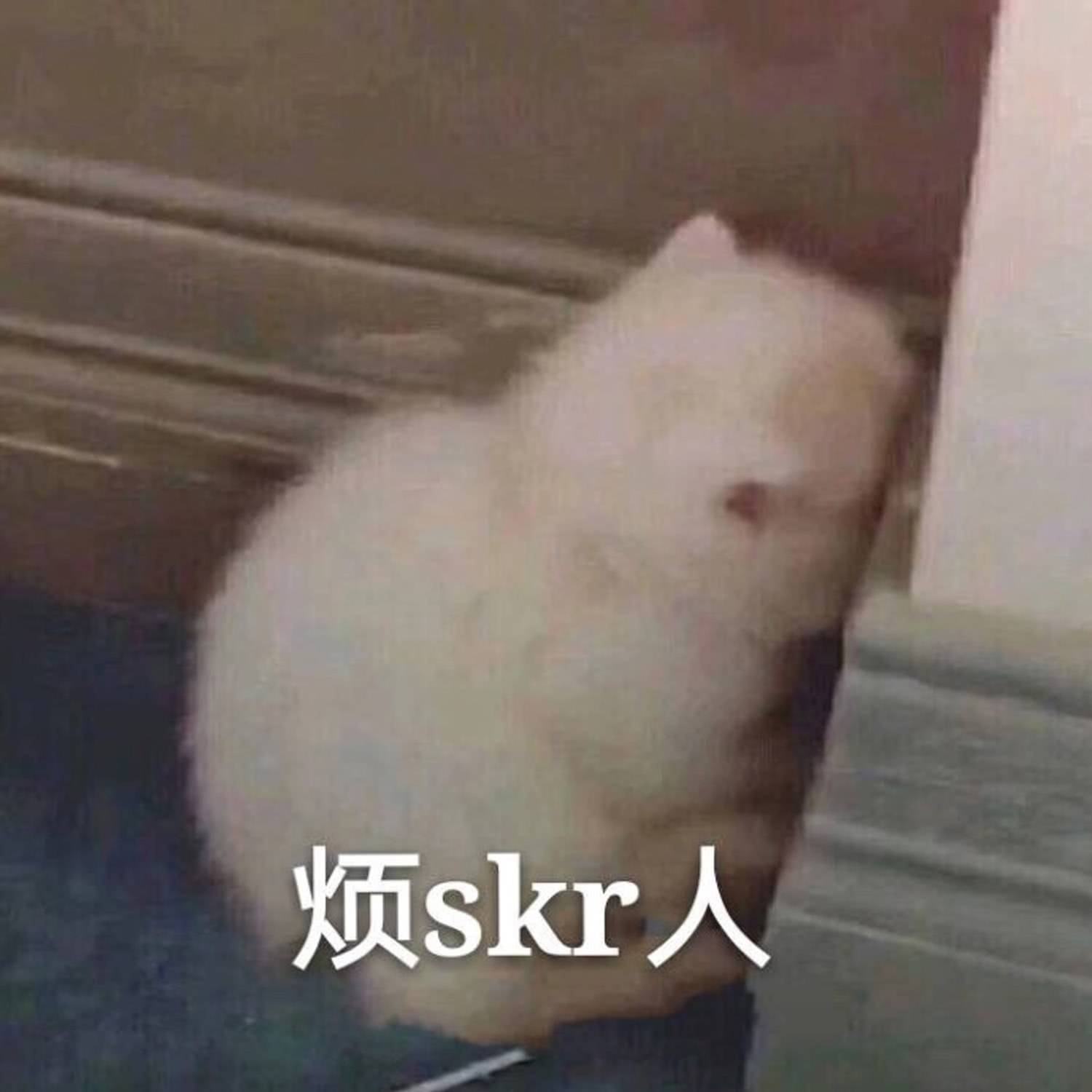 沙雕表情包