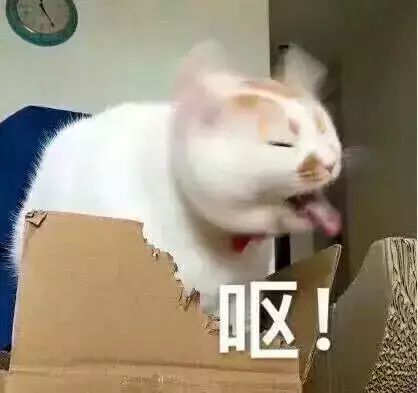 情侣头像 搞笑 可爱