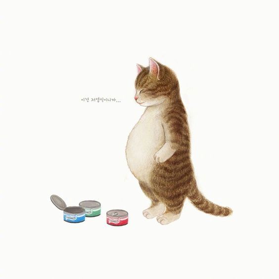 创意画廊韩国插画师 keum jim 猫咪插画