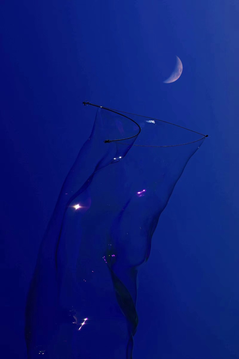 图源qq空间/侵删/蓝色/壁纸/摄影/海洋/海边/水母/夜景/月亮