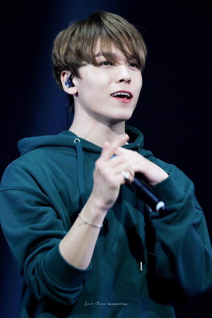 seventeen vernon 崔韩率