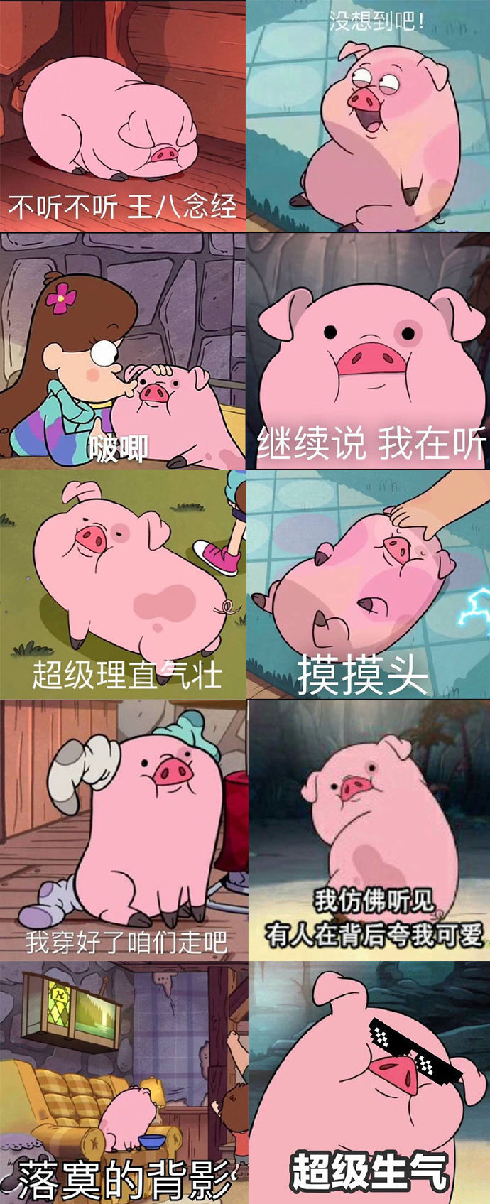 " 分享一组猪猪的表情包原.图坪纶收