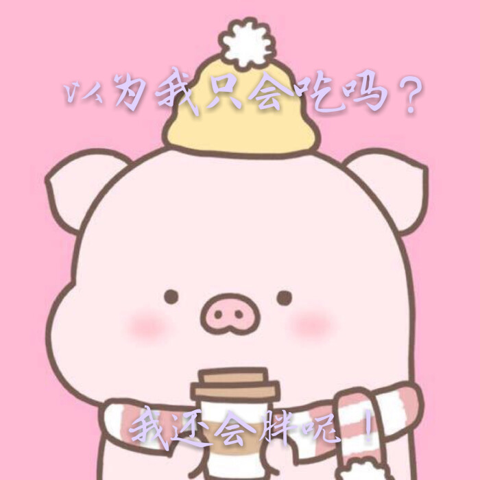 2019年本命年猪猪