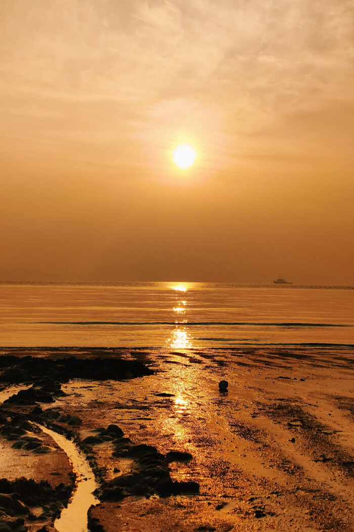 背景图|壁纸|海边