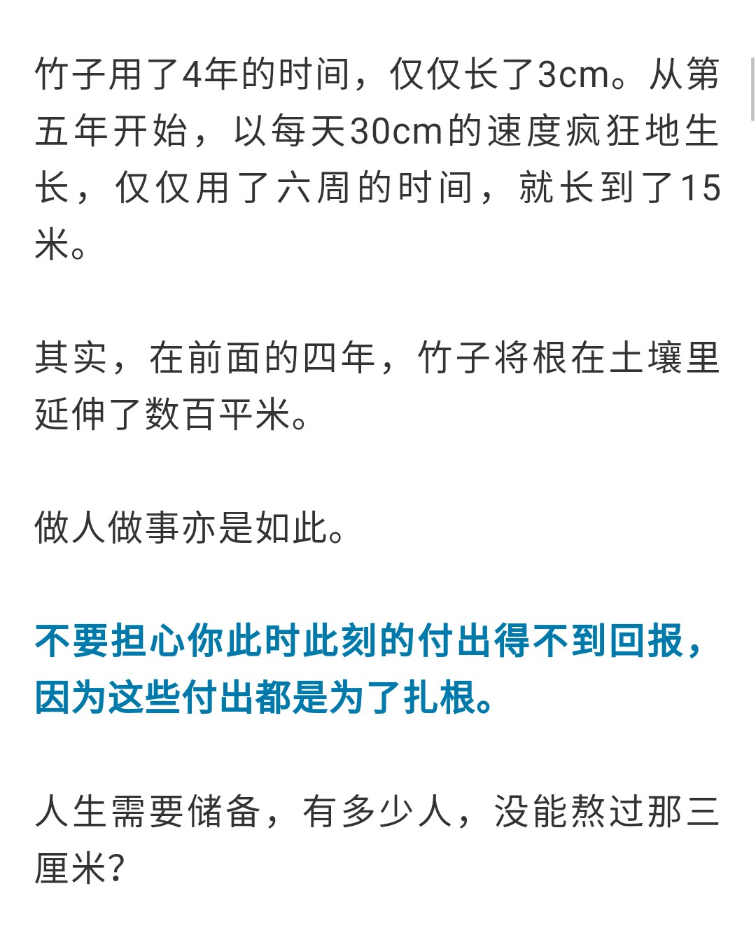 竹子定律