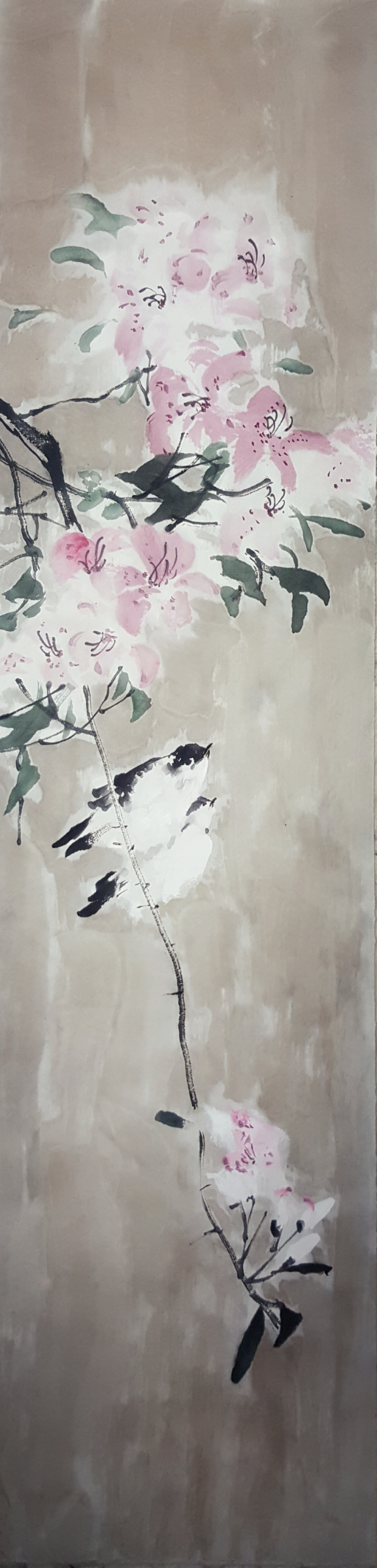 杜鹃和鸟