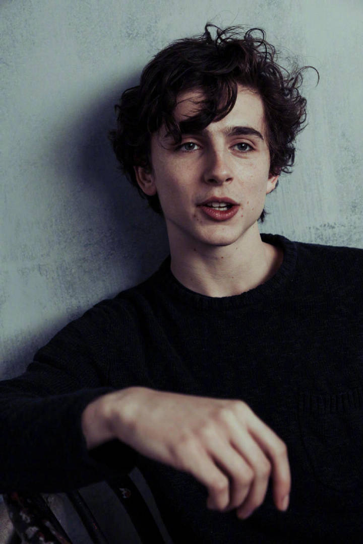 甜茶timothée chalamet