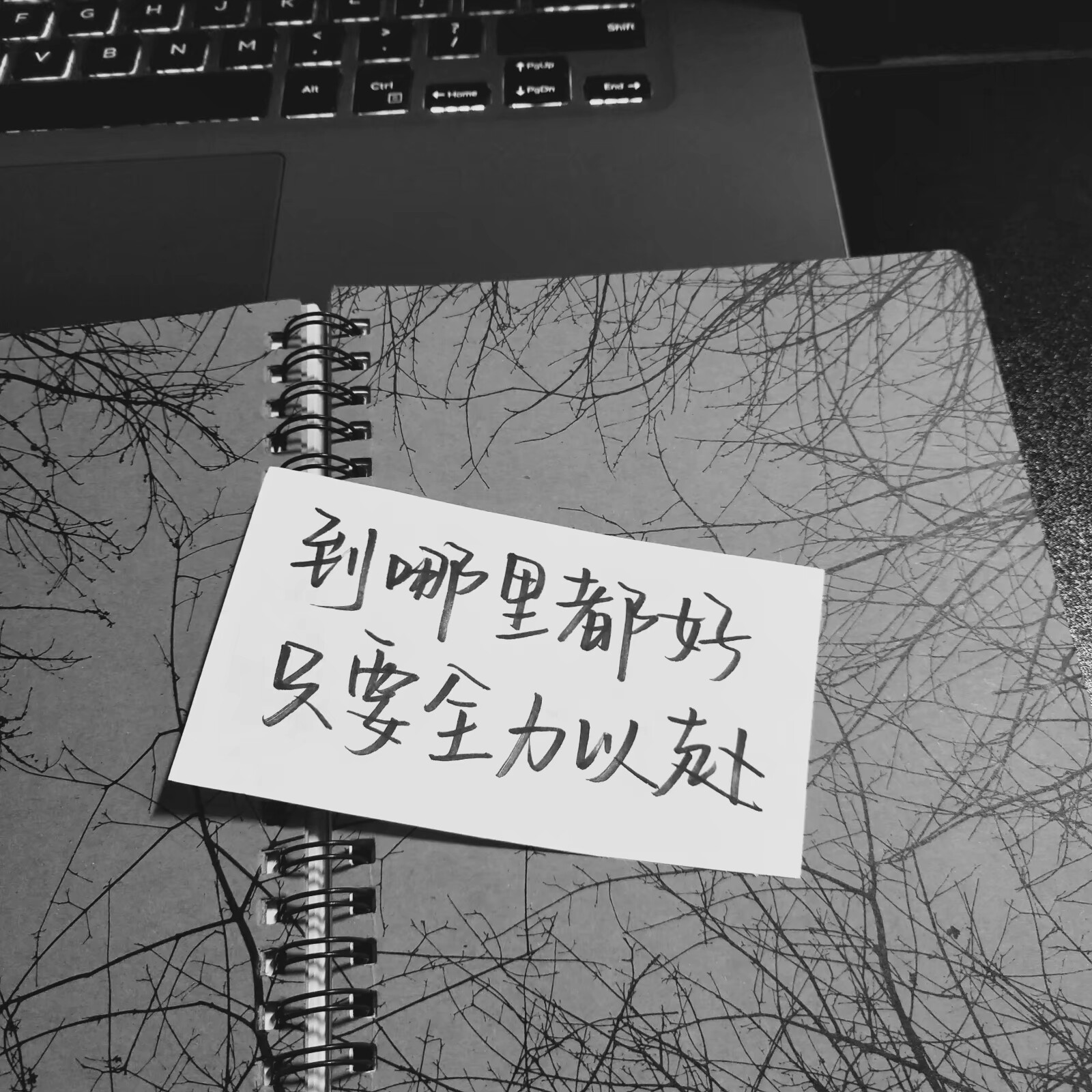 手写背景 by快手肥婷
