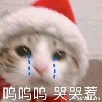 沙雕头像