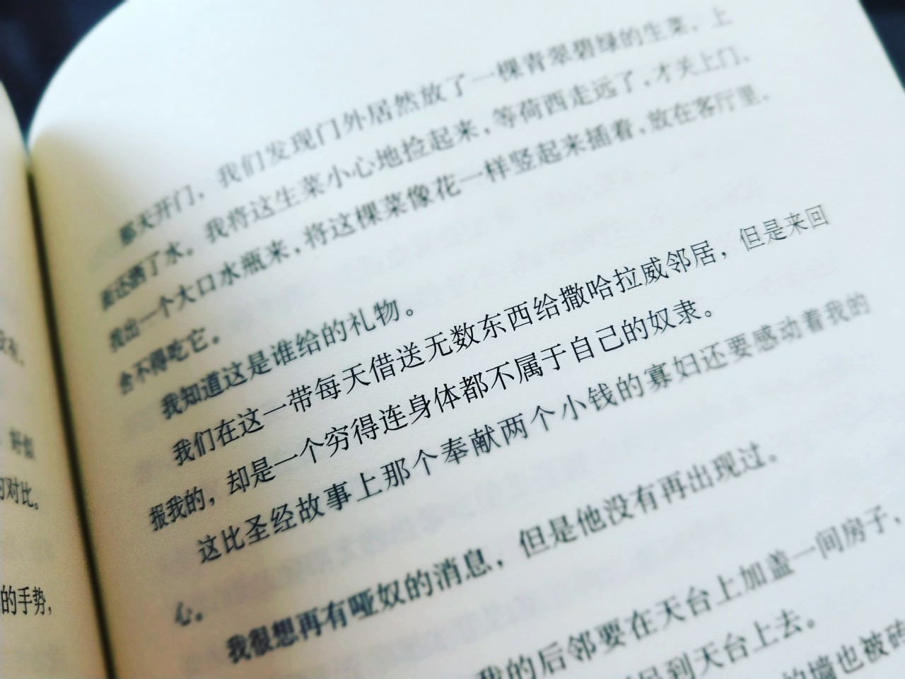 18号的时候后在机场看完的《撒哈拉的故事》总觉得有点淡淡的难过,和