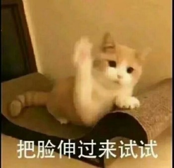 可爱猫咪表情包