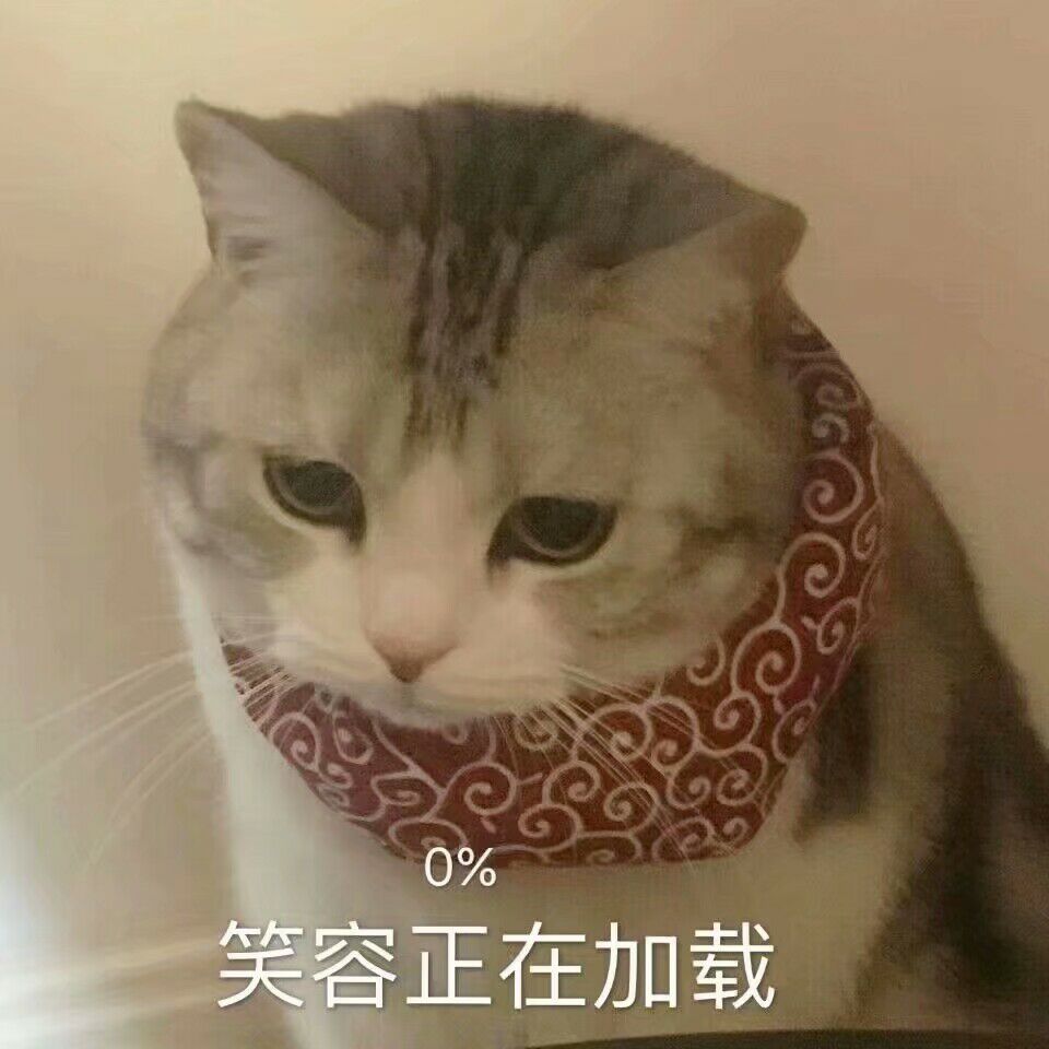 可爱猫咪表情包