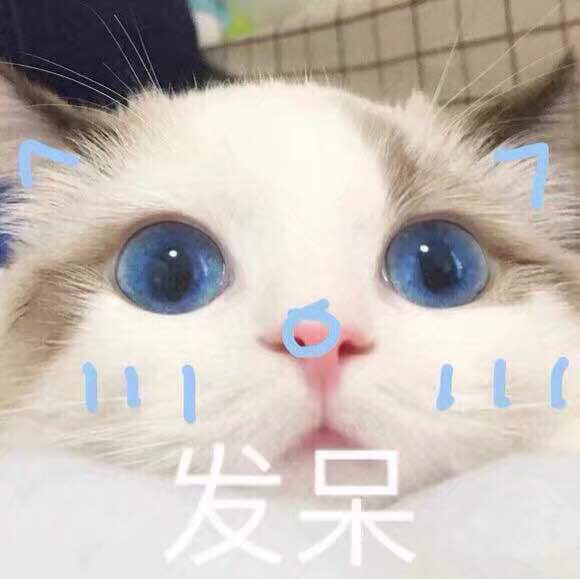 可爱超萌猫猫表情包