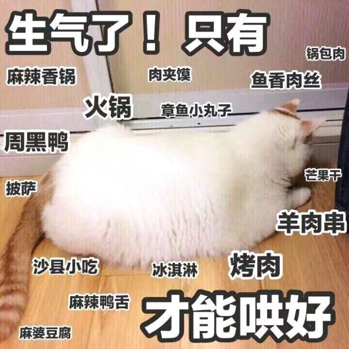 可爱超萌猫猫表情包