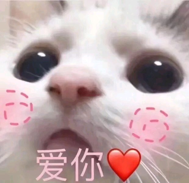 可爱超萌猫猫表情包