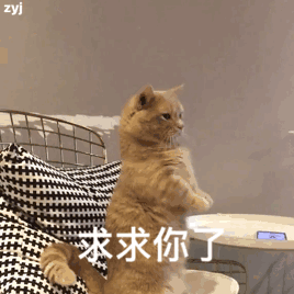 可爱超萌猫猫表情包