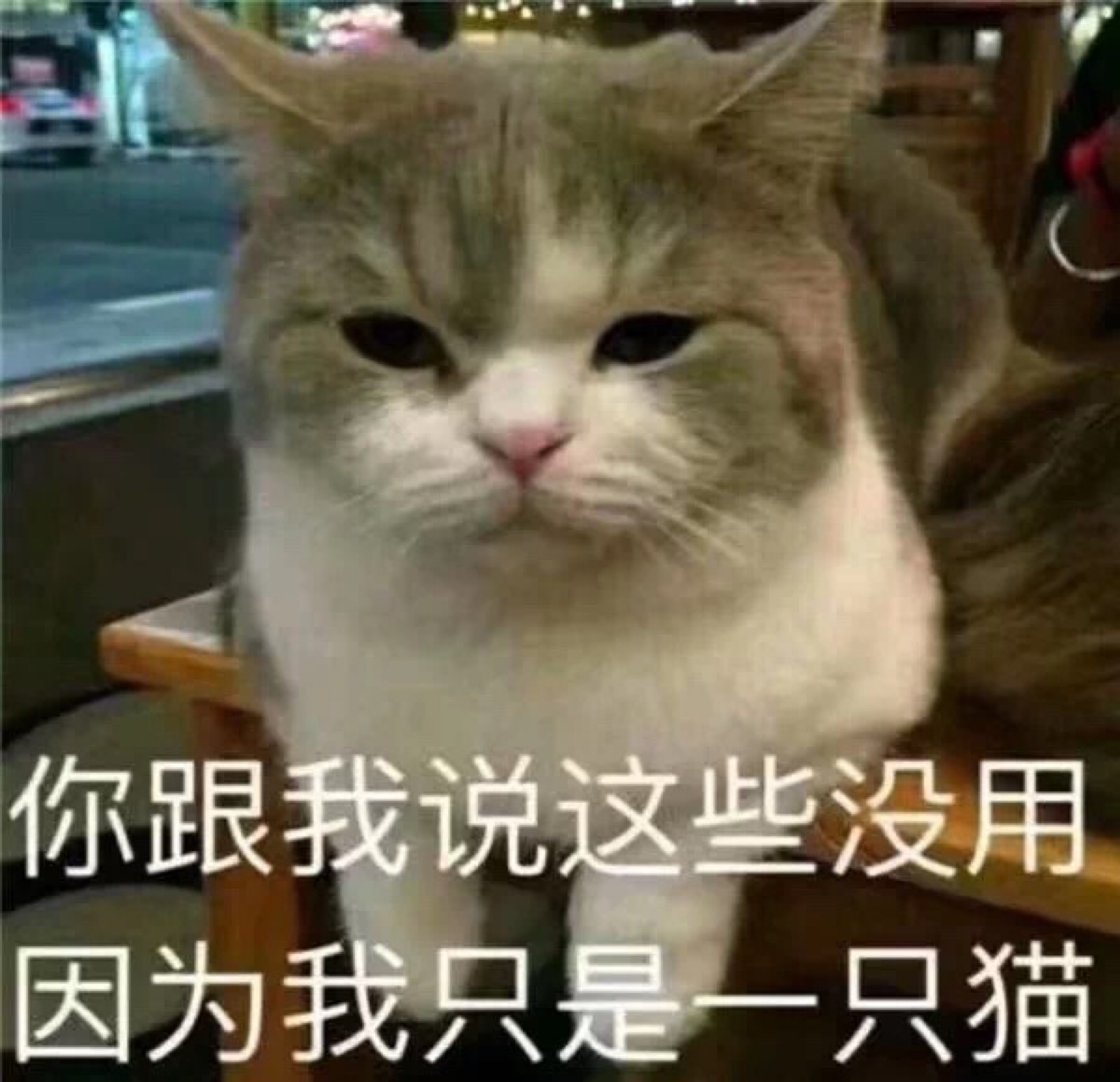 情侣表情包