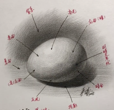 素描三大面五大调子是什么?视频教程