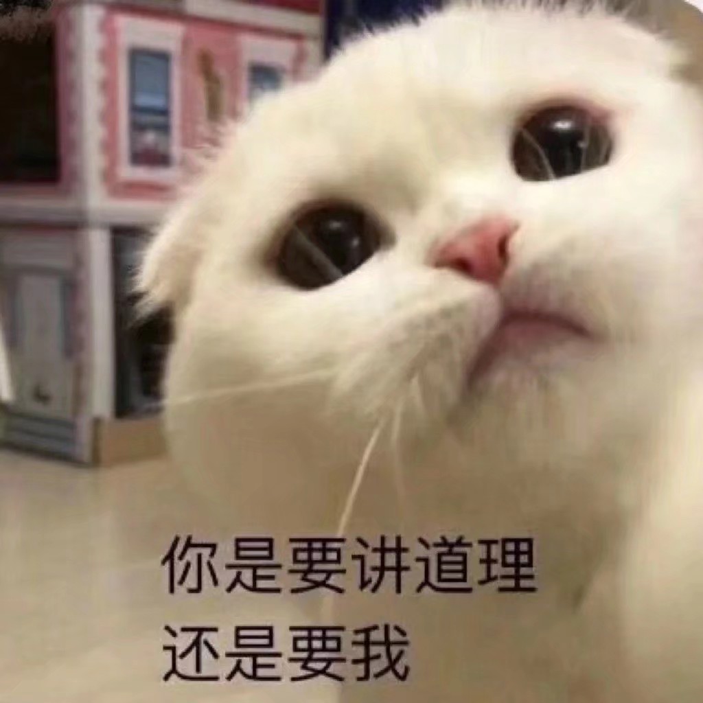 可爱猫咪表情包