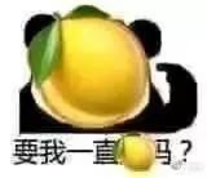 表情包 柠檬表情包
