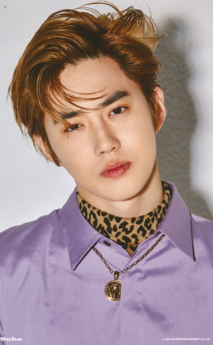 exo 金俊勉 suho