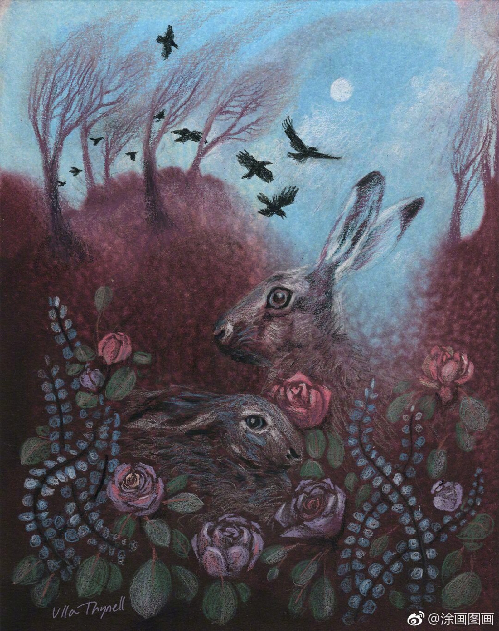 芬兰插画师 ulla thynell