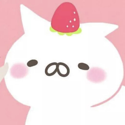 灰企鹅和白猫的情头!